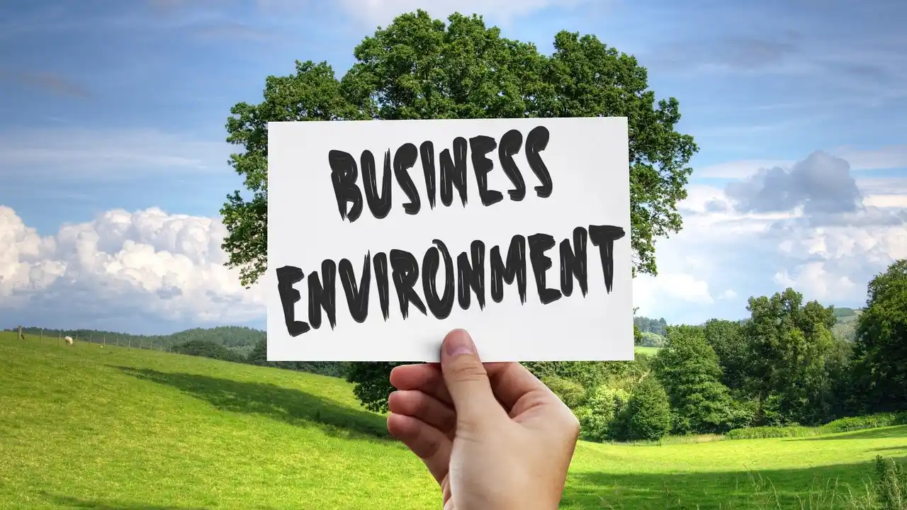 business plan environment definition